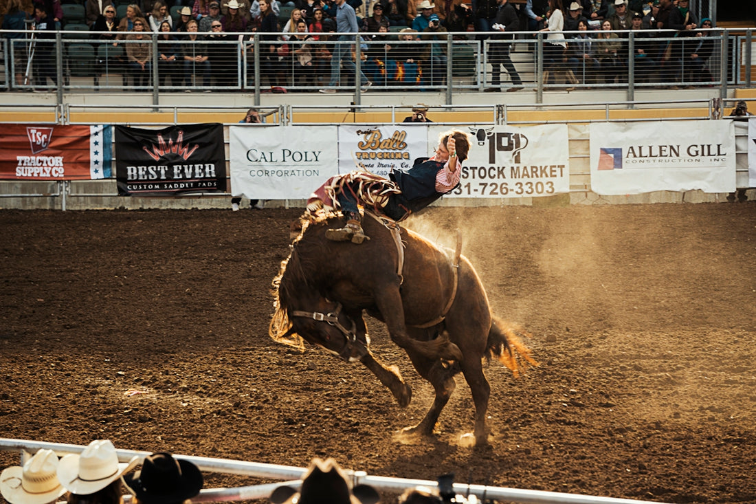 rodeo game in action