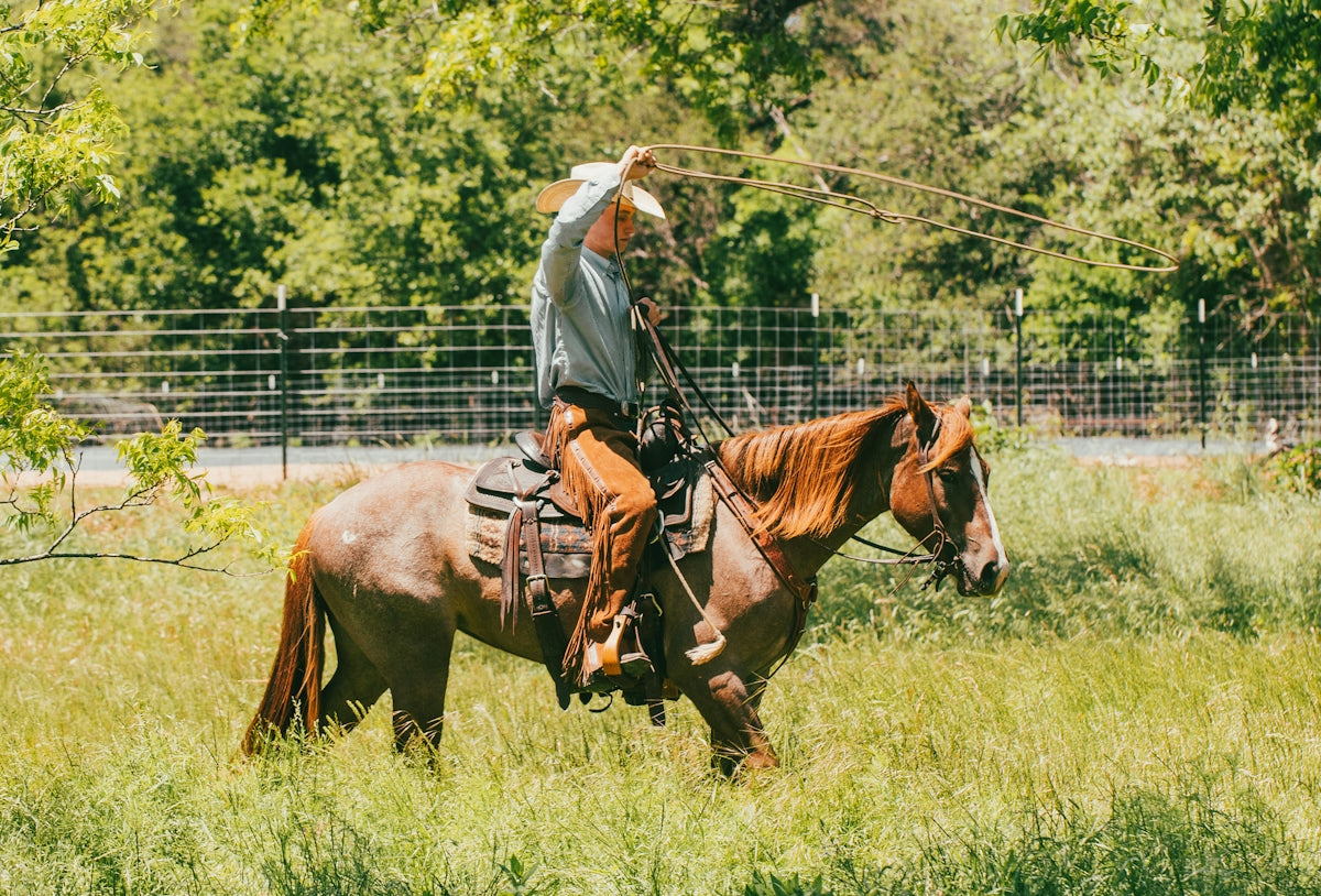a man riding on the back of a brown horse