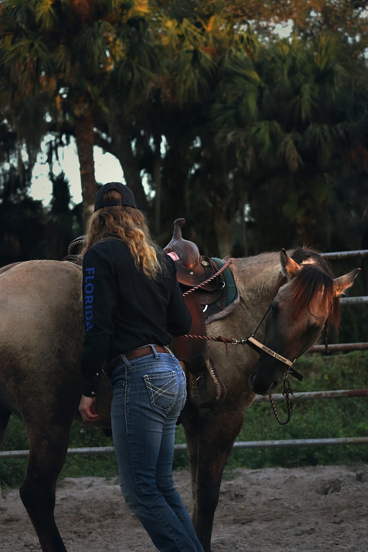 a woman standing next to a brown horse