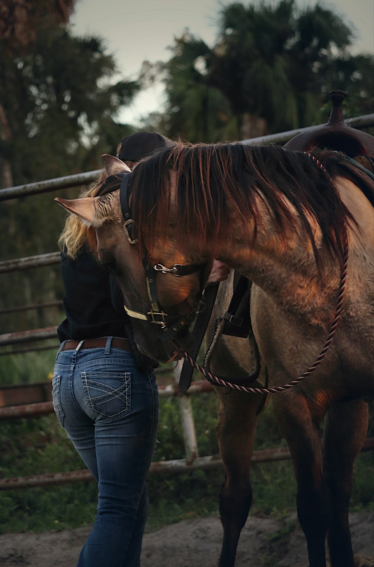 a woman standing next to a brown horse