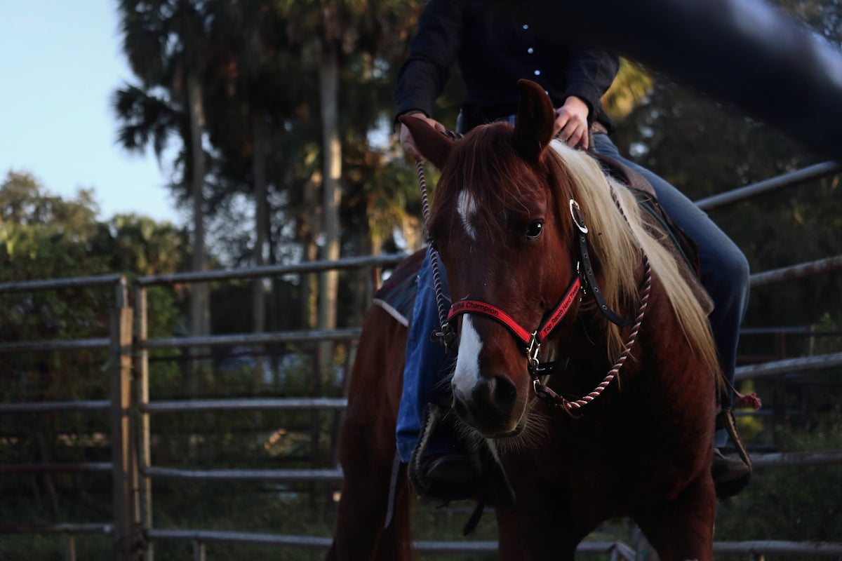 a woman riding on the back of a brown horse
