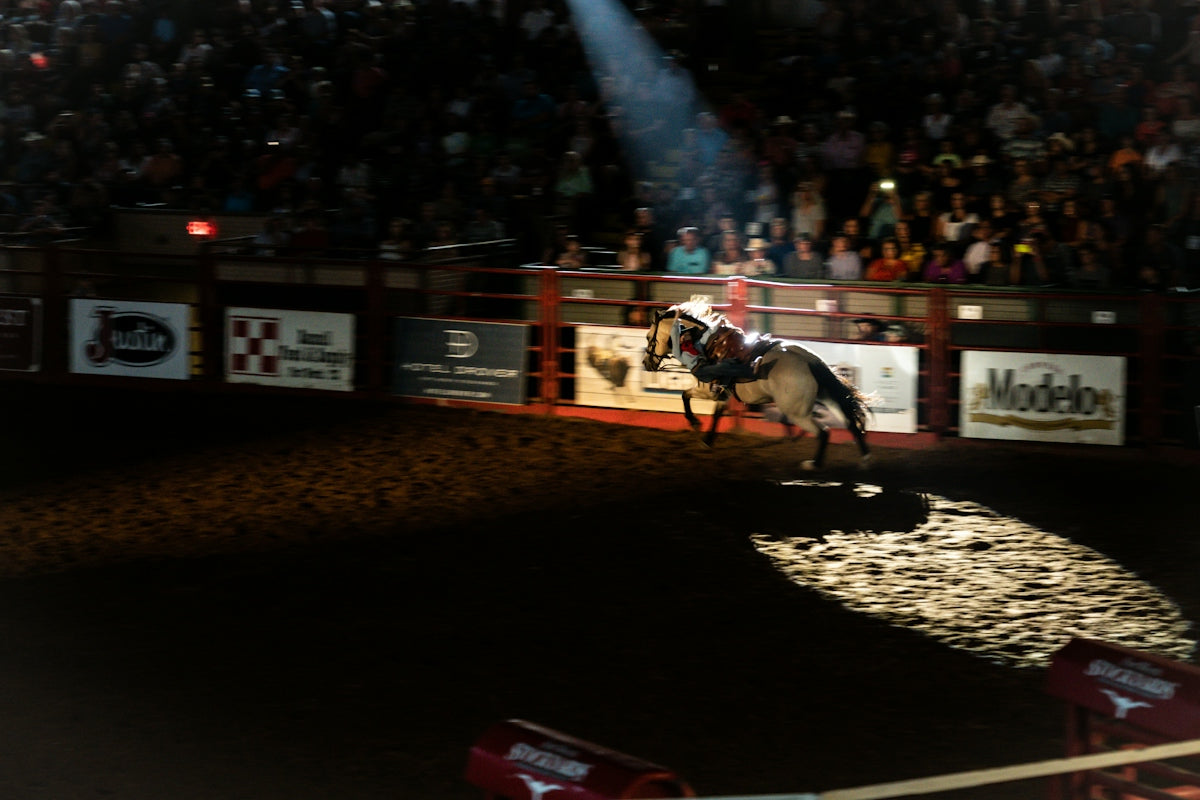 A person riding a horse at a rodeo