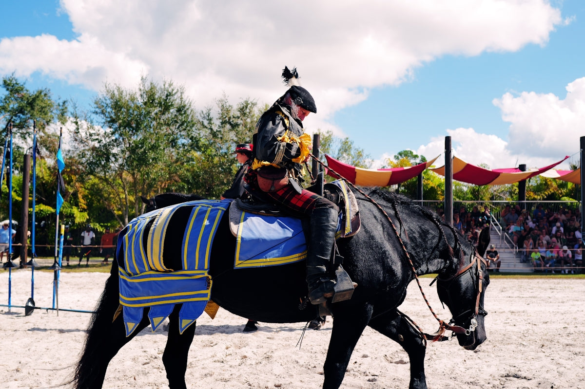 A man riding on the back of a black horse