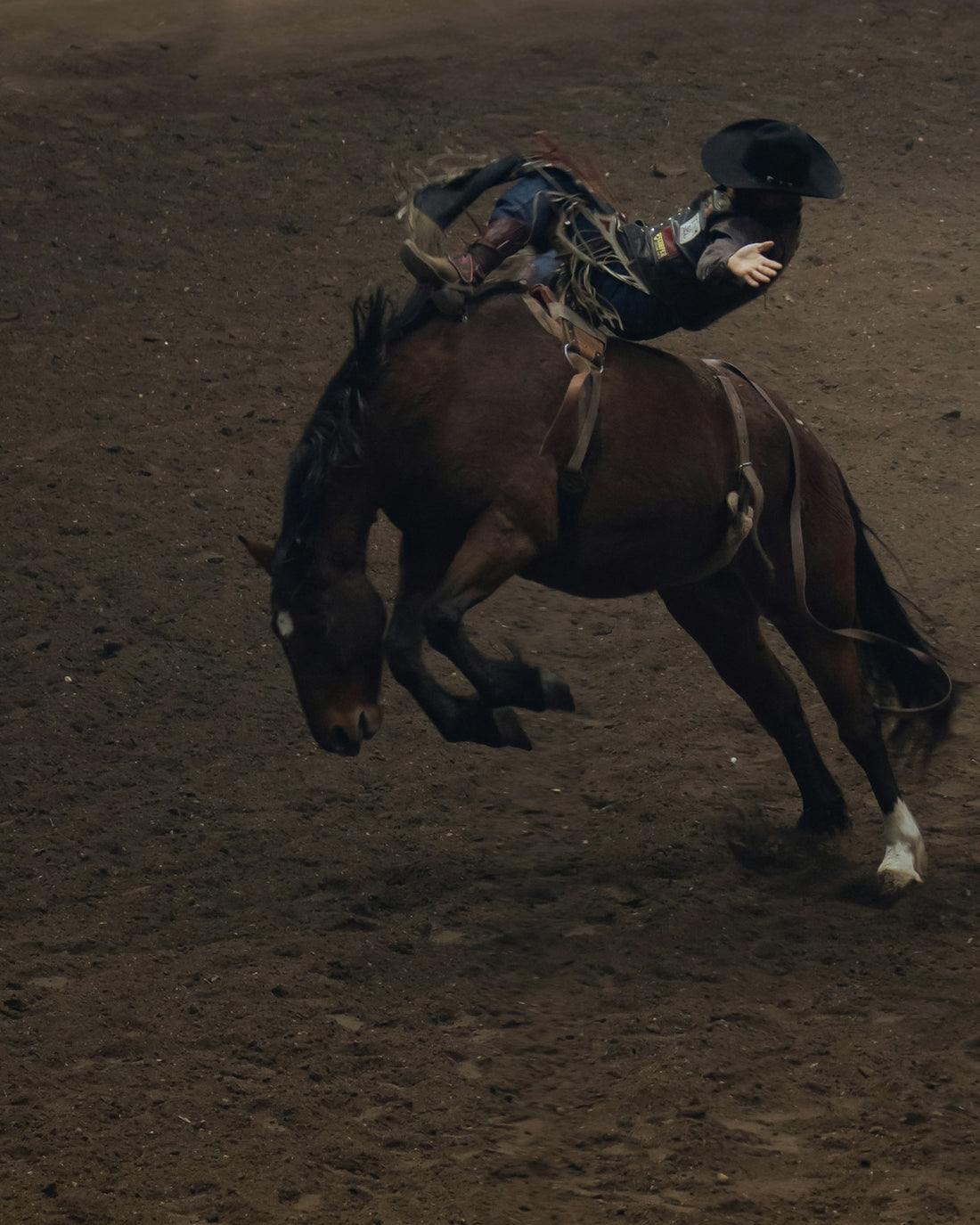 Rodeo rider falls from a bucking bronco.
