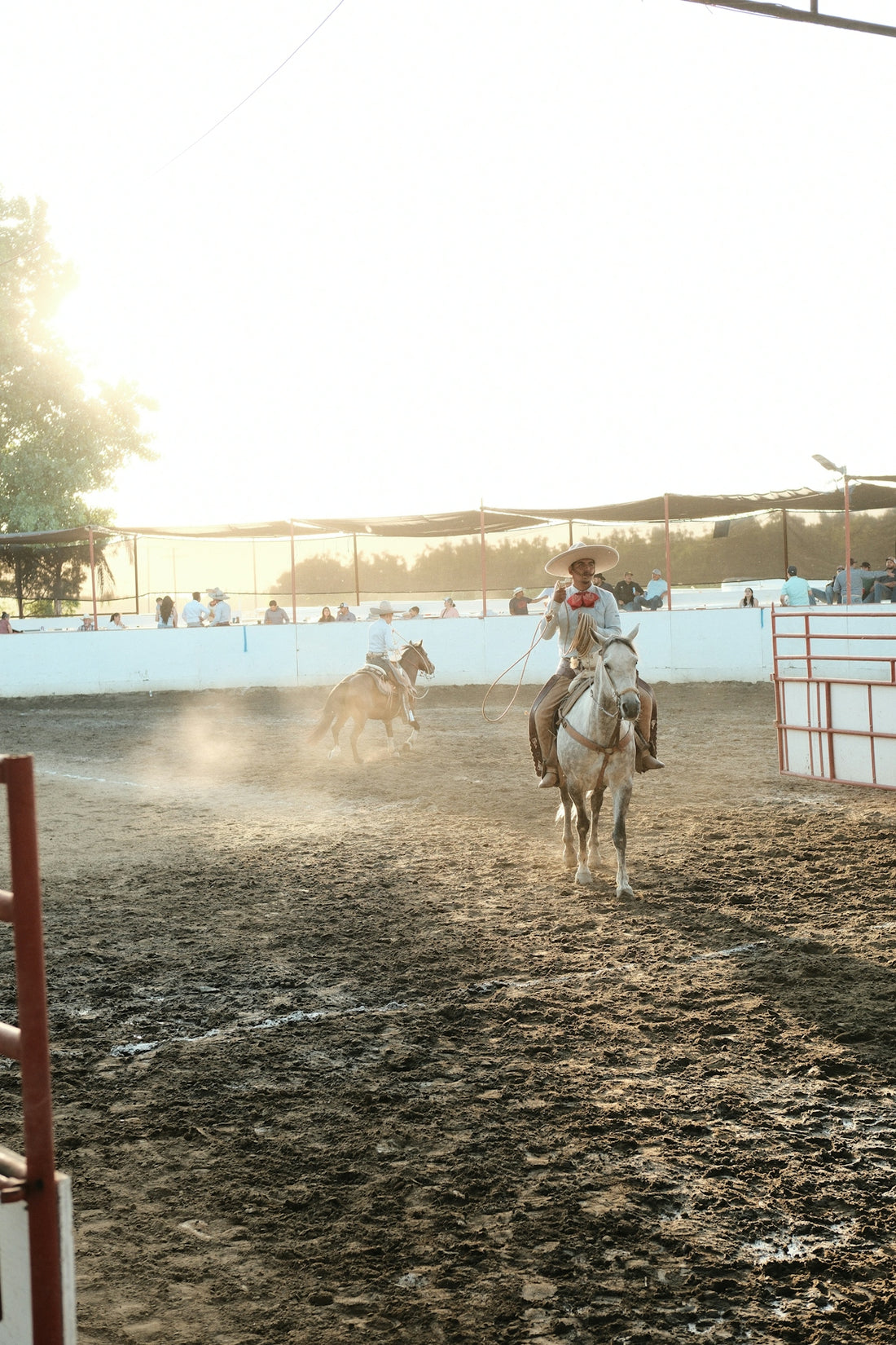 A charro on horseback performs in the arena.