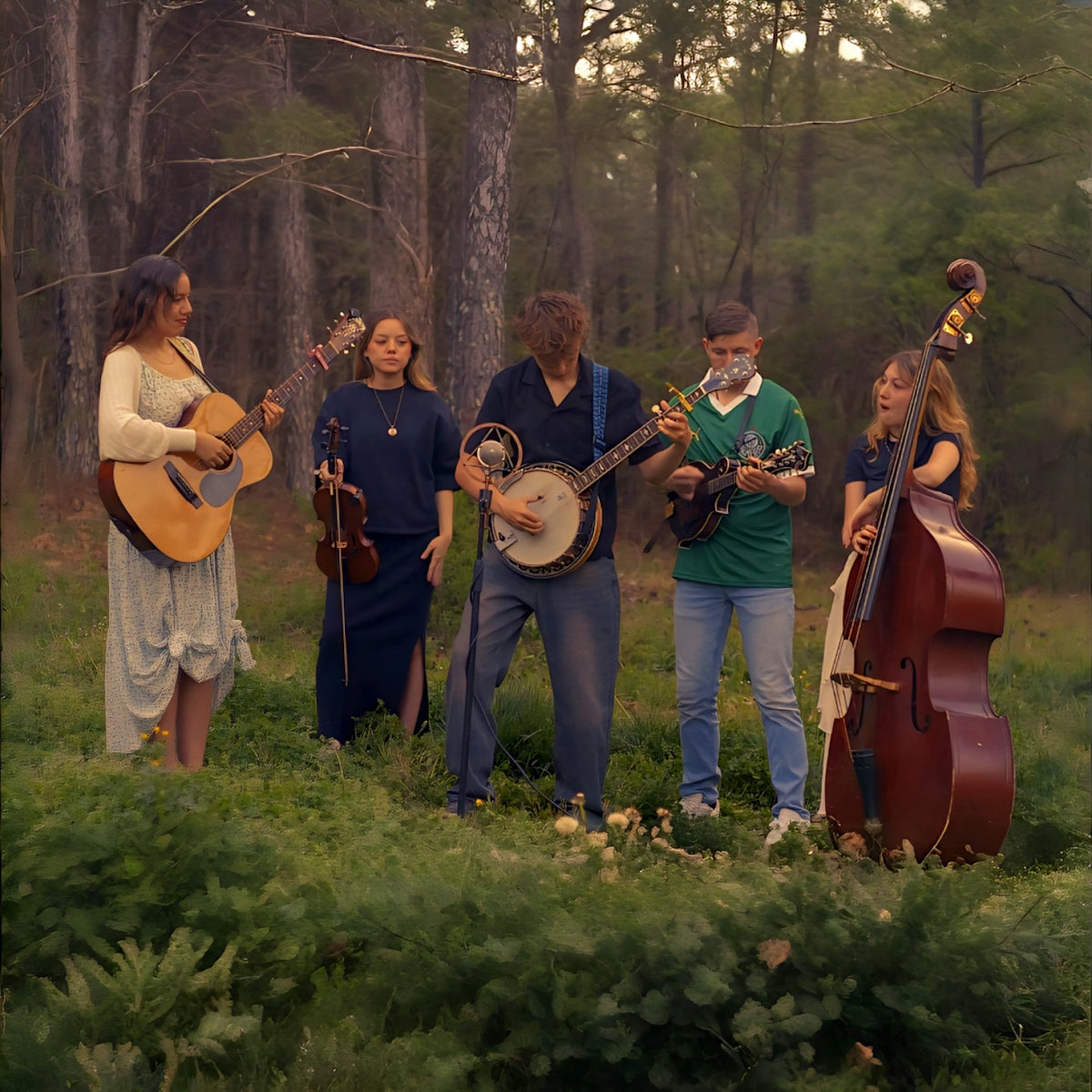 Five musicians playing instruments in a grassy forest