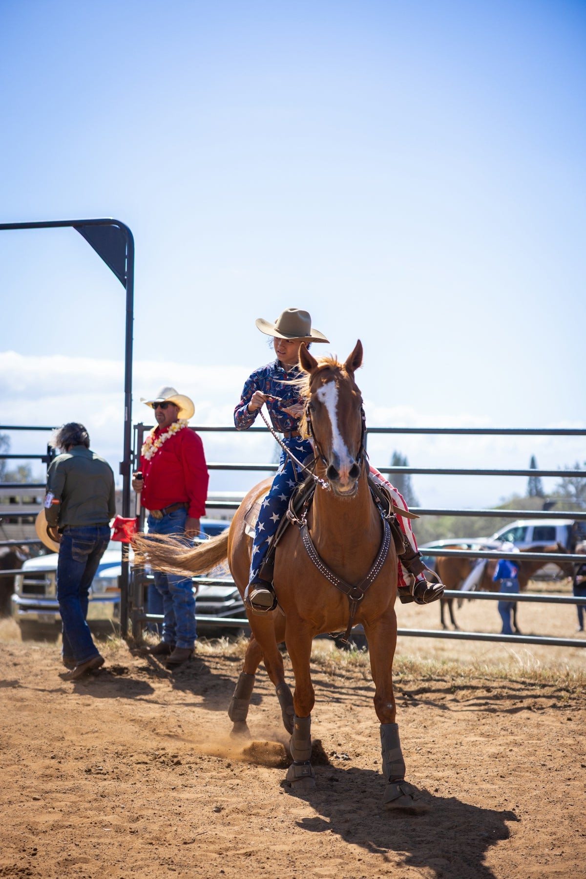 Cowgirl on a horse at a rodeo event