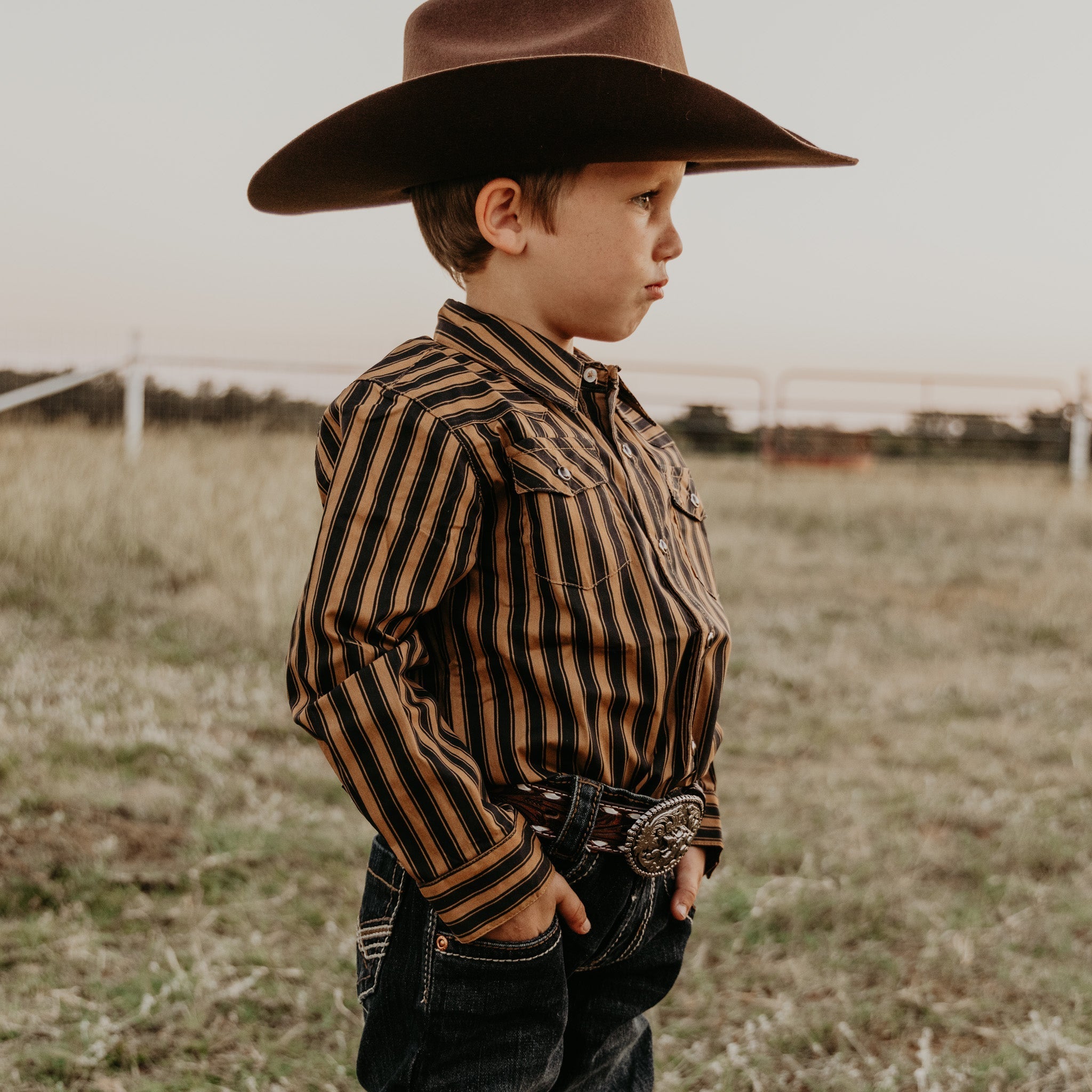 Cowkid Black & Gold Stripe Long Sleeve Pearl Snap, supplier view 2