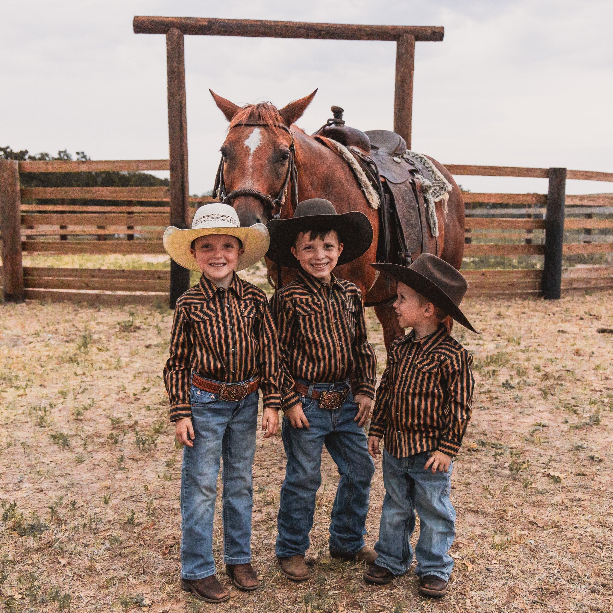 Cowkid Black & Gold Stripe Long Sleeve Pearl Snap, supplier view 3