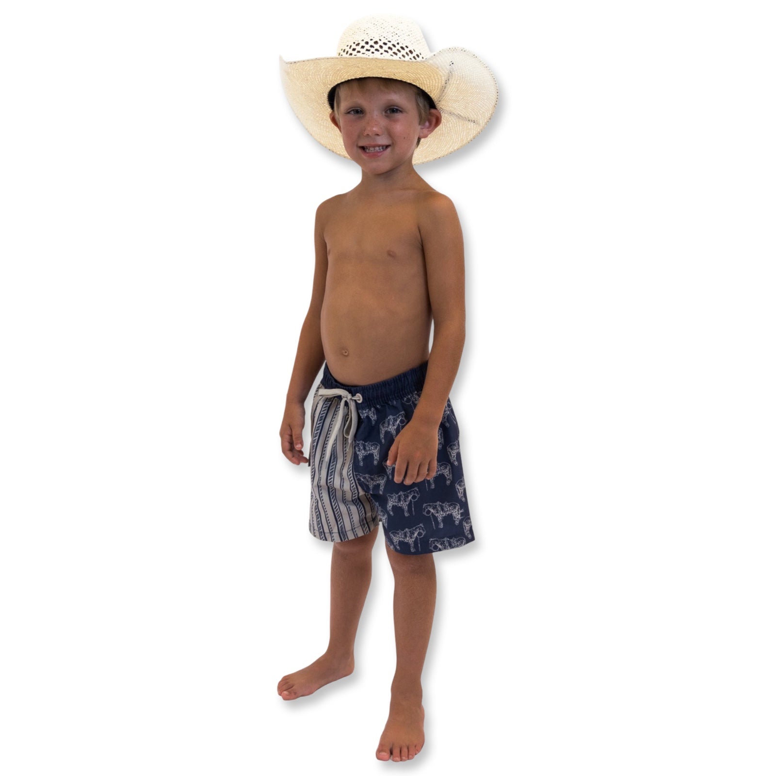 Cowkid Ranch Horse Pinstripe Men's Swim Trunks, supplier view 3