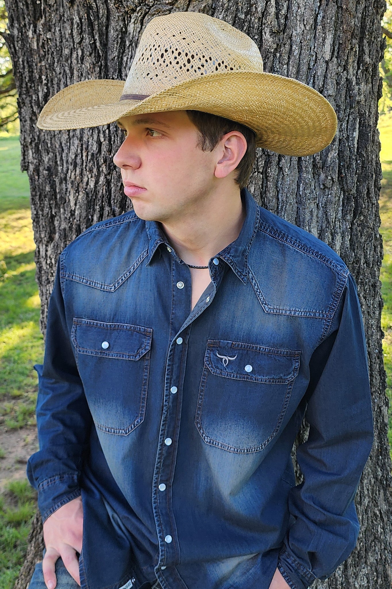 Drover Tumbleweed Denim Pearl Snap Western Shirt, product view 2