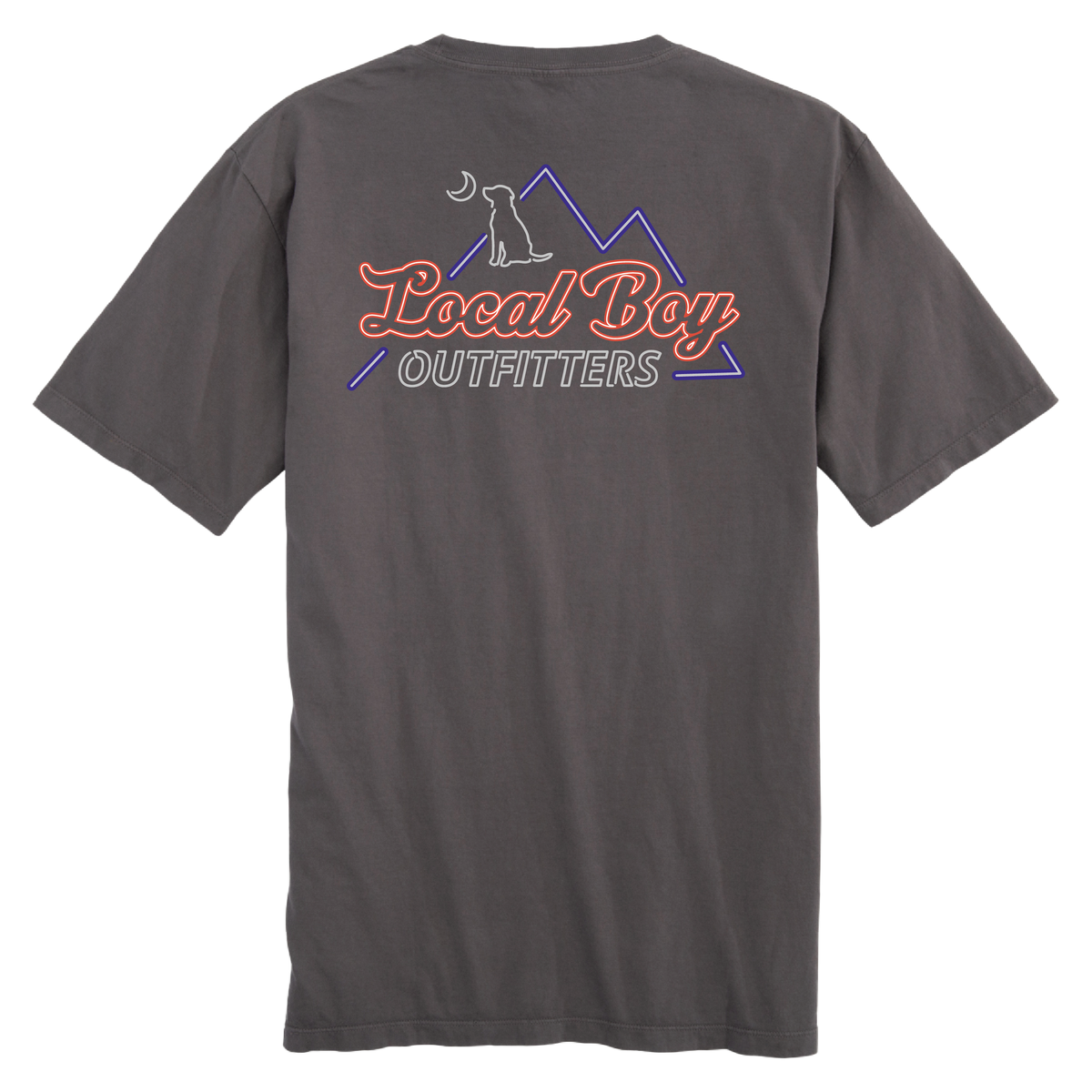 Local Boy Outfitters Neon Mountain T-Shirt in Gray