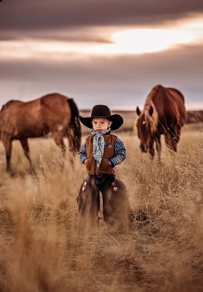 Young cowboy in western clothes standing between horses