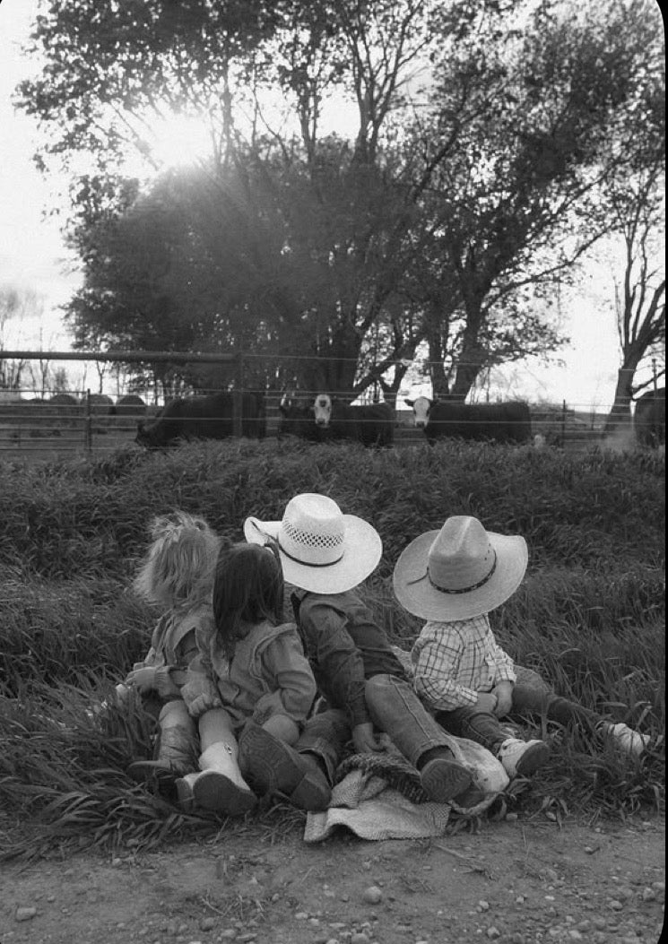 Children in cowboy hats sitting near cattle on a ranch